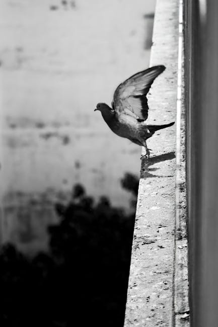 Interfață platformă digitală cu cod și date